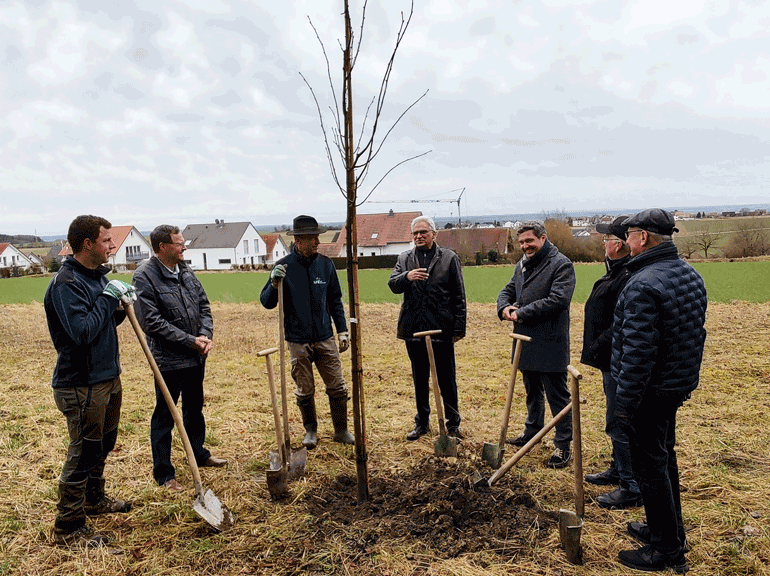 Oberbürgermeister Gunter Czisch und eine Gruppe von Männern stehen im Kreis vor der neu gepflanzten Winterlinde in Ermingen