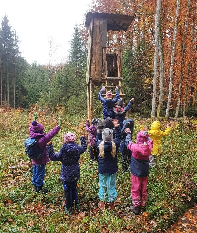 Eine Gruppe von Kindern erkundet im Wald einen Hochsitz.