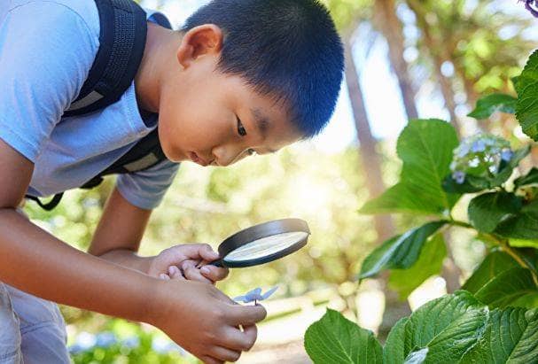 Ein Junge blickt mit einer Lupe auf ein Blatt einer Pflanze