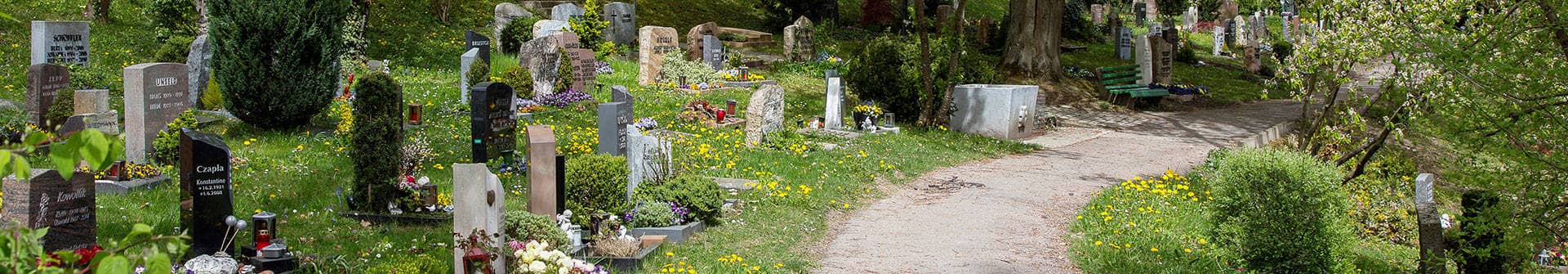 Urnengräber auf dem Ulmer Hauptfriedhof