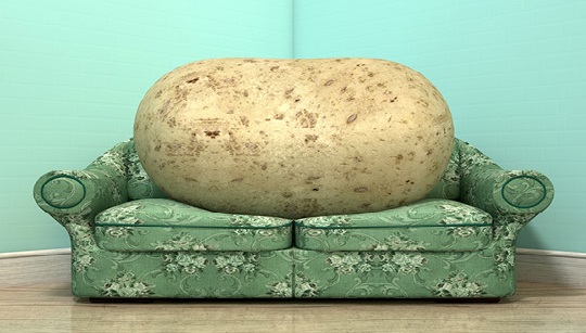 Kartoffel auf Couch