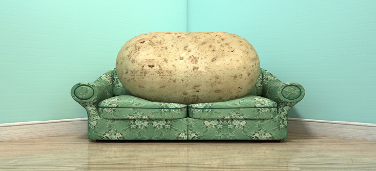 Eine Kartoffel liegt auf einem Sofa