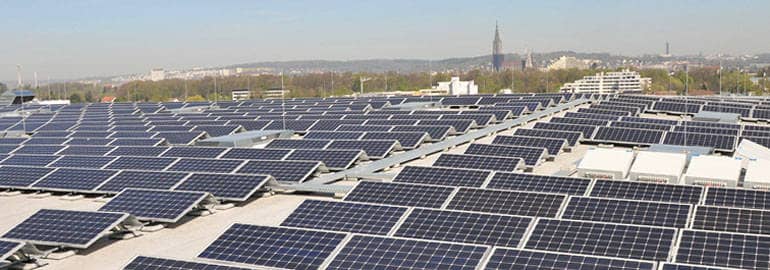 Dutzende von Solarzellen einer Solaranlage, hinter der sich der Horizont der Stadt Ulm erhebt.