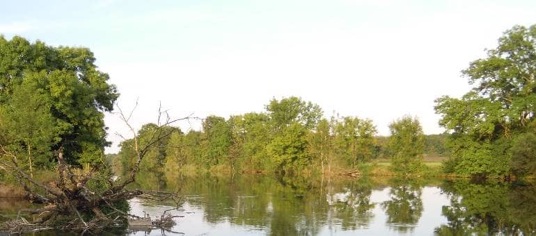 Ufer eines Flusses, in dem sich Bäume spiegeln.
