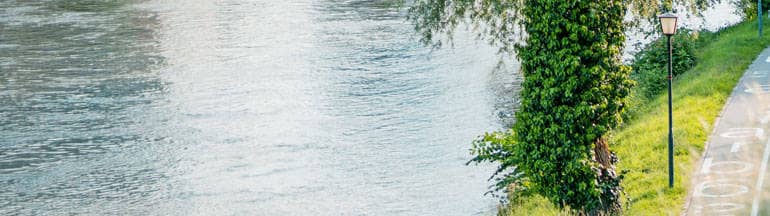 Die Donau schimmert blau, am Ufer stehen eine Laterne und ein Baum, um dessen Stamm sich eine Blätterranke emporschwingt.