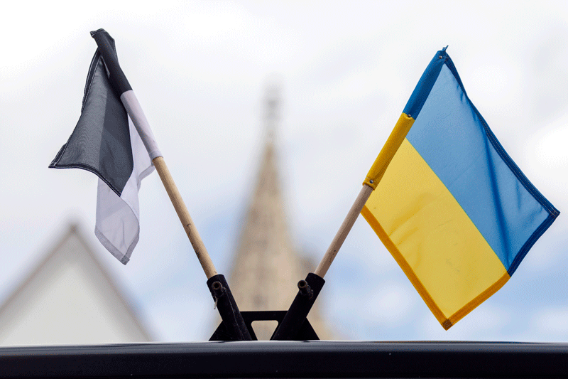 Ein Fähnchen in den Ulmer Stadtfarben (schwarz-weiß) und ein Fähnchen in den Farben der Ukraine (blau-gelb) sind auf dem Dach eines der Busse angebracht.