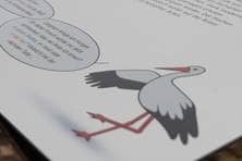 gezeichneter Storch auf einer Schautafel