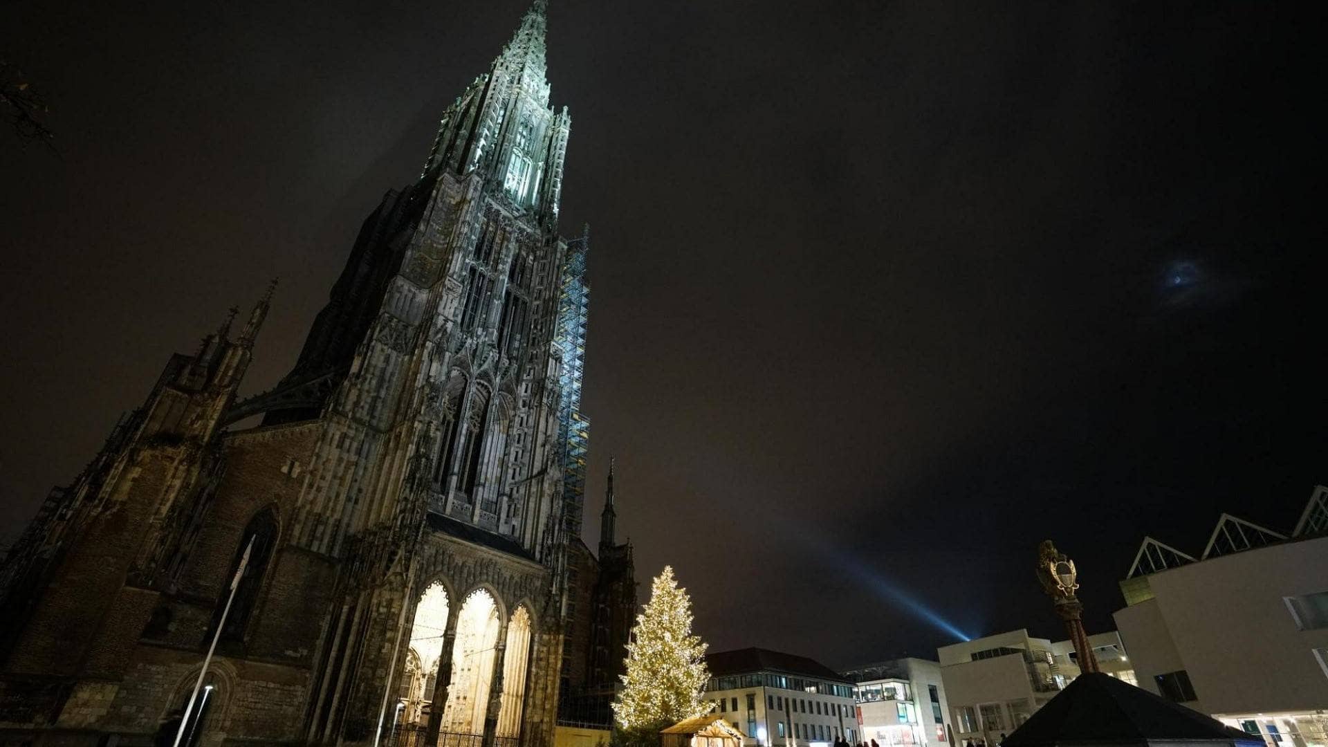 Lichterketten leuchten am Weihnachtsbaum auf dem Münsterplatz