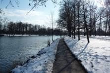 Schnee am Ufer der Donau
