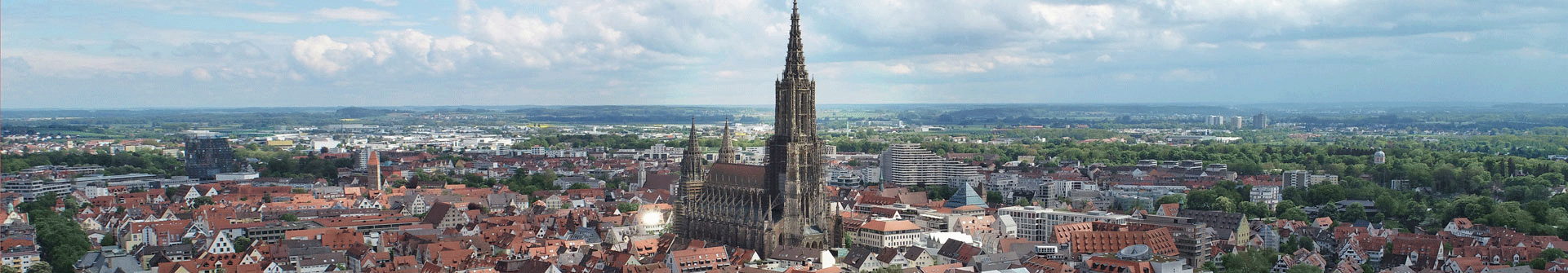 Das Ulmer Münster und die umliegenden Gebäude