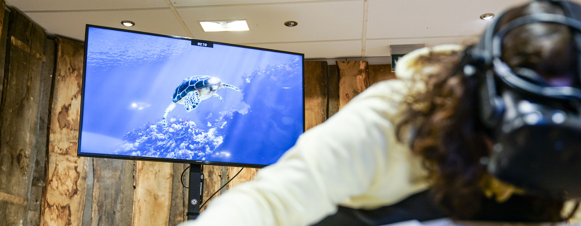 Eine Person bewegt sich auf einem Simulator, auf dessen Bildschirm eine tauchende Schildkröte erscheint.