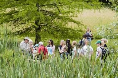 Eine Besuchergruppe orientiert sich im meterhohen Gras.