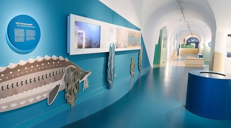 Kindgerechter Ausstellungsraum mit Infotafeln und einer großen Abbildung eines Fisches