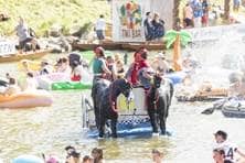 Auf einem Boot sind zwei Pferdeskulpturen aufgestellt; die Leute auf dem Boot haben sich als Feldherren verkleidet
