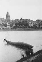 Ein gebastelter, mehrere Meter langer Fisch schwimmt auf der Donau.