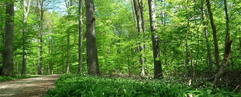 Landschaftsschutzgebiet Ulm