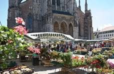 Stände mit bunten Blumen sind auf dem Münsterplatz aufgebaut, dahinter erhebt sich das Eingangstor des Münsters.